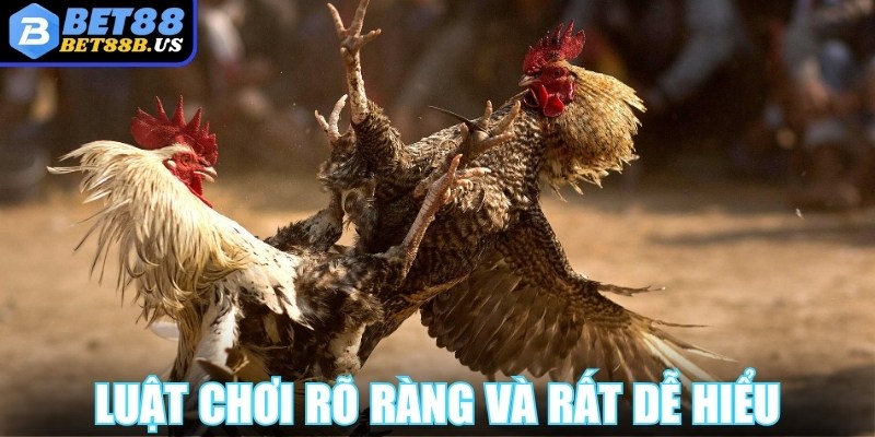 Đá gà Bet88 áp dụng luật chơi rõ ràng và rất dễ hiểu